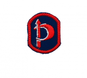 Badge Brevet Pionnier