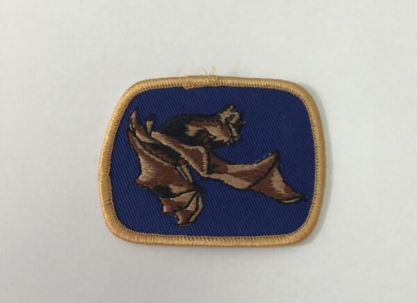 Badge CHAUVE-SOURIS