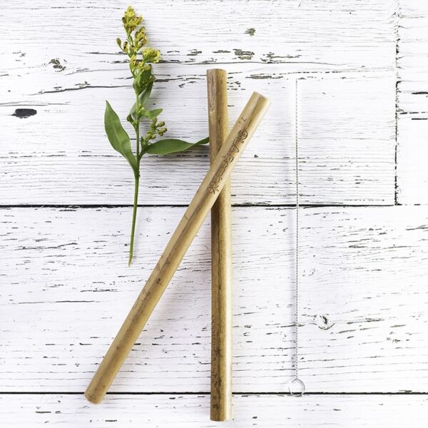 Paille en Bamboo OLA BAMBOO